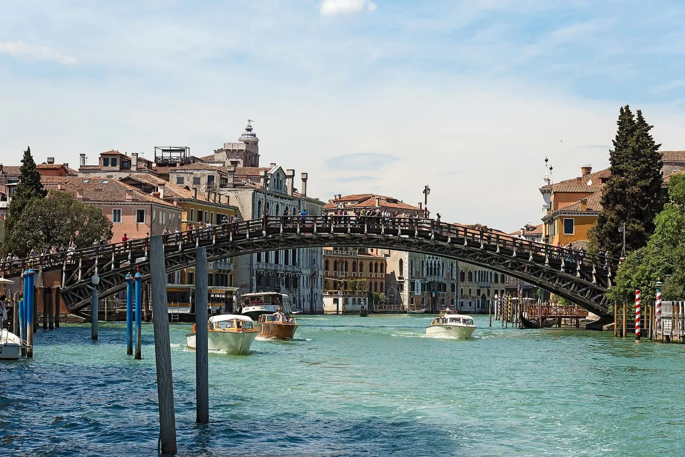 The wooden Accademia Bridge arching over the Grand Canal
