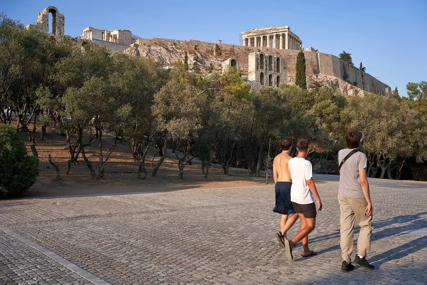 The Acropolis seen above olive trees from the paved Dionysiou Areopagitou promenade, with the Parthenon and the Odeon of Herodes Atticus wall on the rock