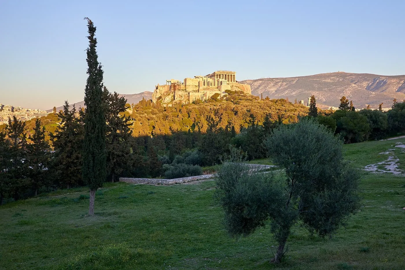 The Acropolis and the Parthenon lit gold by low evening sun above the trees, seen across the grass of the Pnyx