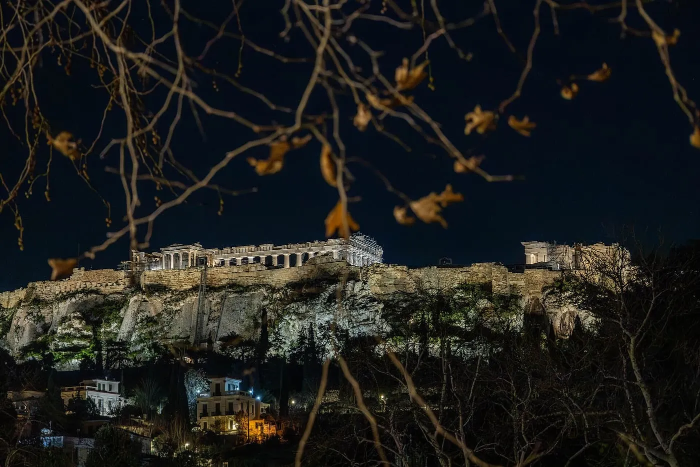 The floodlit Parthenon and Propylaia on the Acropolis at night, seen through bare branches with a few dry leaves in the foreground