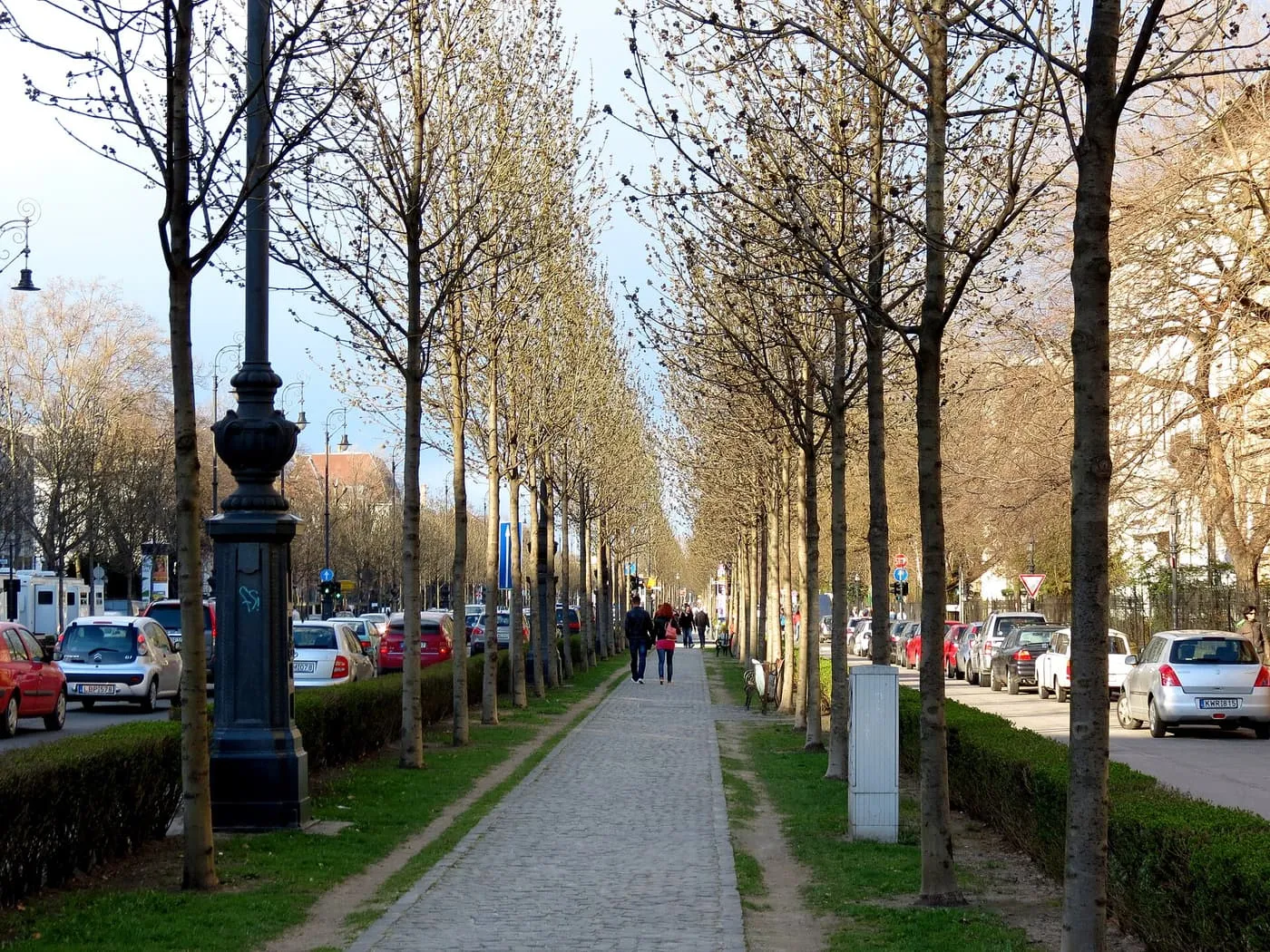 Andrássy út, a straight avenue of young trees with a paved footpath down the middle