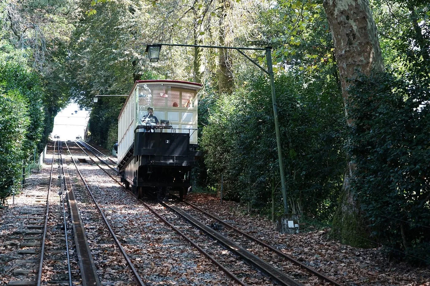 A cream and black funicular car on its track through the trees at Bom Jesus do Monte
