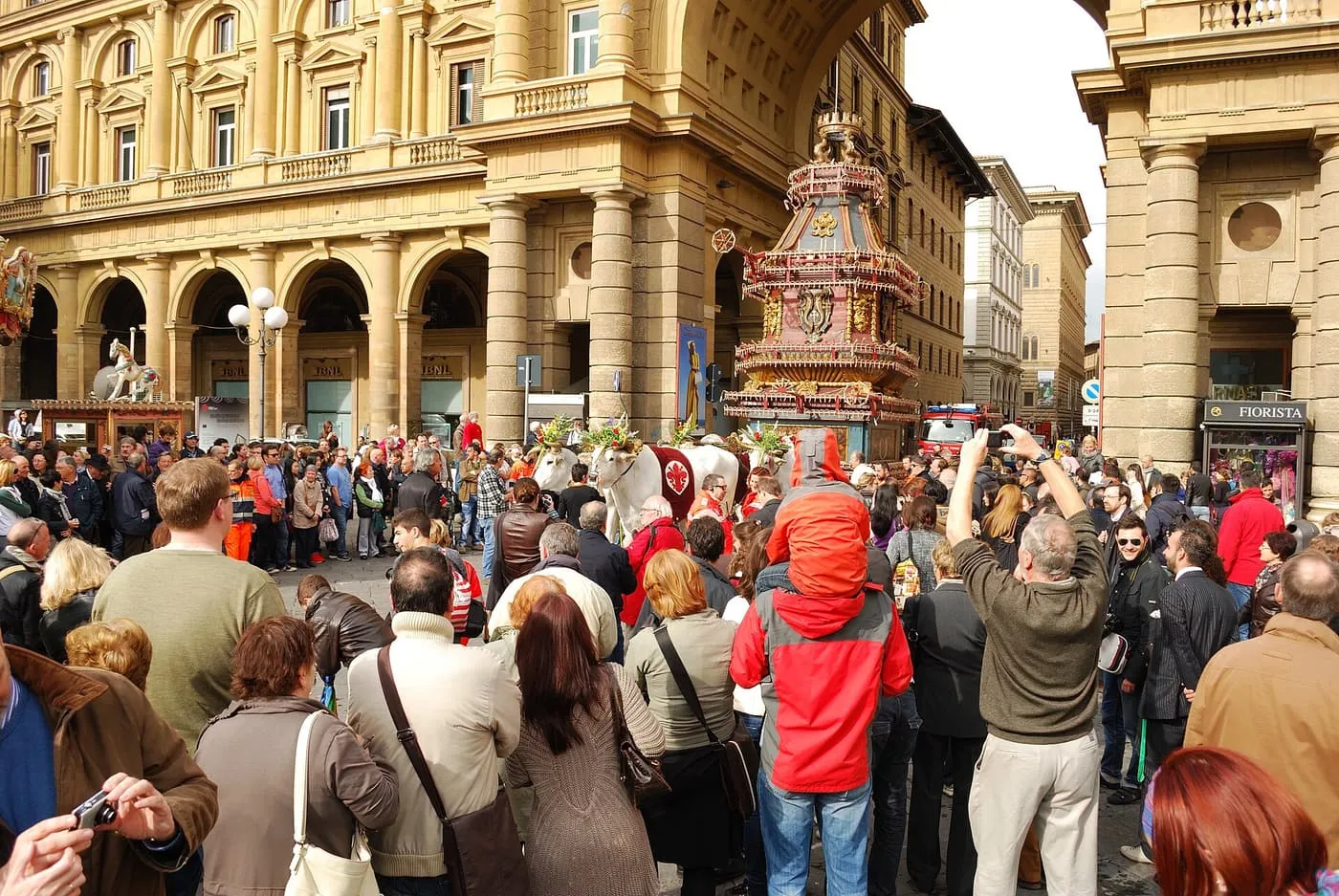 A white ox with a headdress of flowers beside the red and gold Brindellone cart, with a crowd and arcaded buildings behind