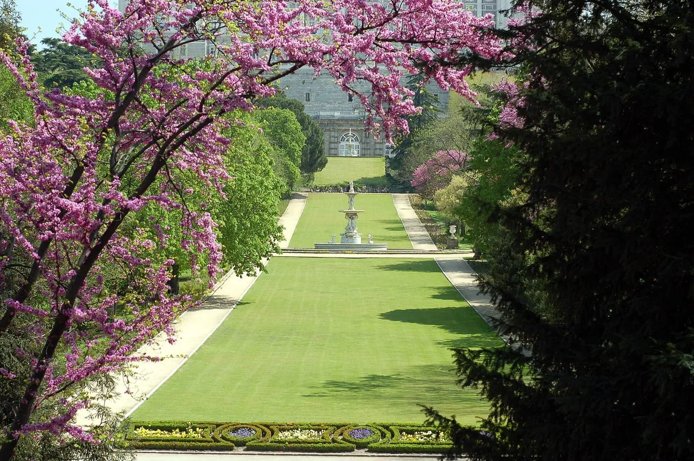A long lawn in the Campo del Moro gardens running to a fountain, with a flowering tree in pink blossom in the foreground and the Royal Palace behind