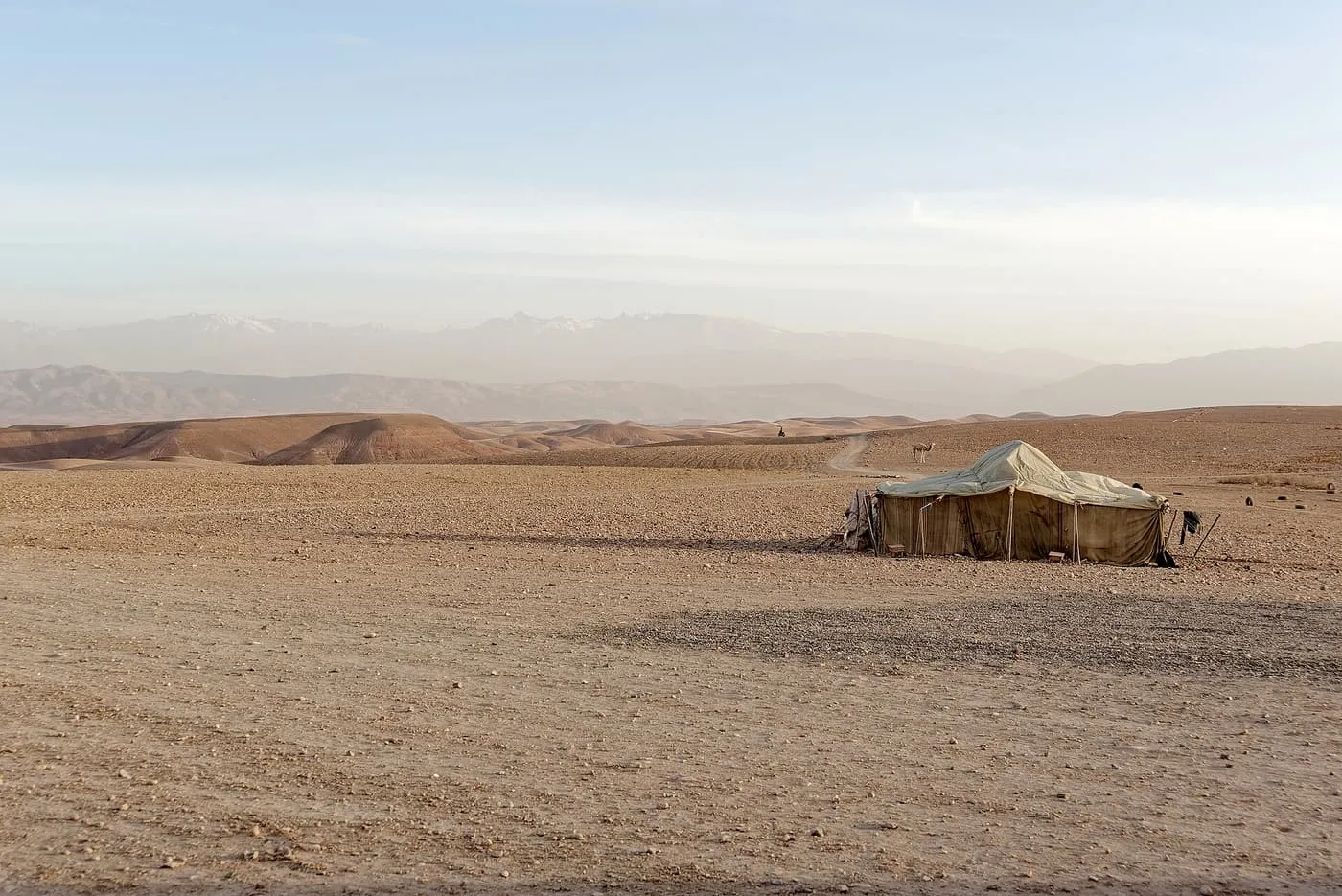 A canvas tent on the stony Agafay plateau, with the hazy High Atlas on the horizon