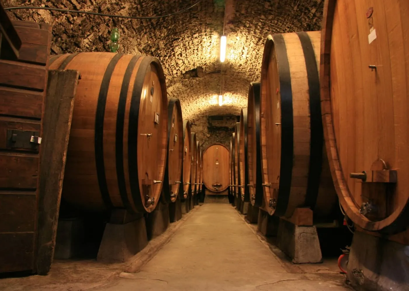 A vaulted stone cellar lined with large oak barrels
