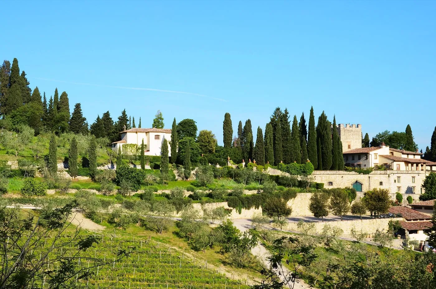 Cypresses, olive terraces and a vineyard below a farmhouse and a tower in the Chianti hills