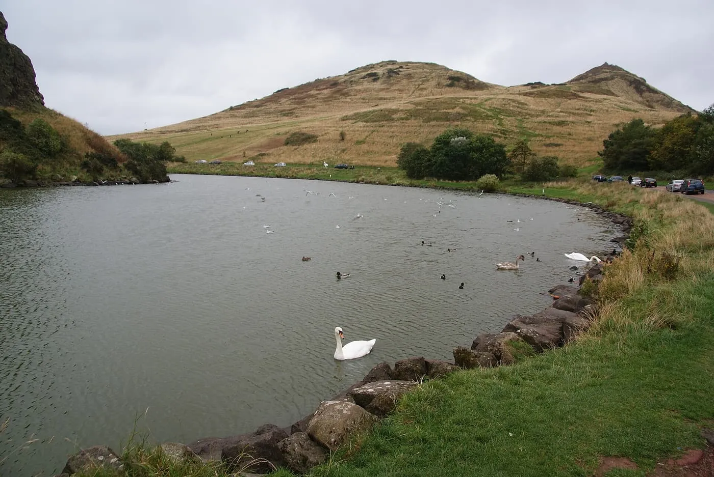 A grey loch with swans and gulls, a road along the far shore and the brown slopes of the hill above