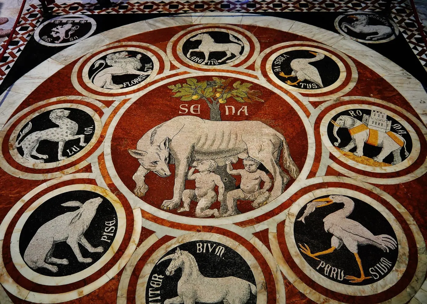 Inlaid marble floor of Siena Cathedral: a she-wolf with two children ringed by animal emblems