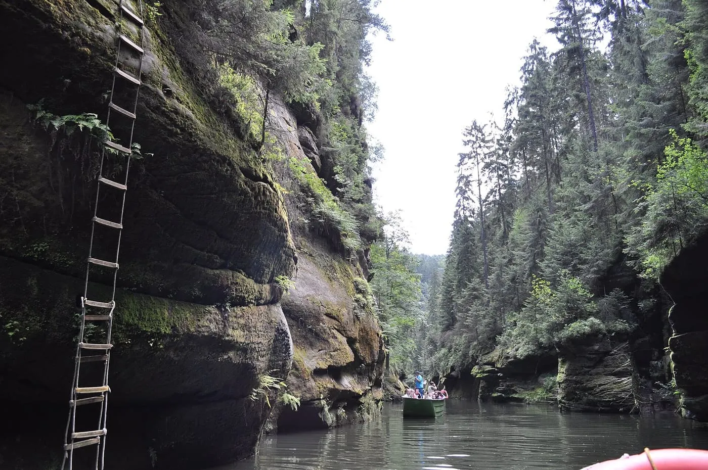A boat with passengers on still water between mossy sandstone walls and spruce trees, with a rope ladder hanging down the rock