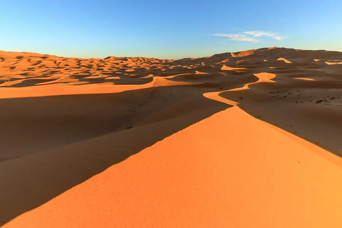 A sharp-edged dune ridge curving away across the Erg Chebbi dunes in low evening sun