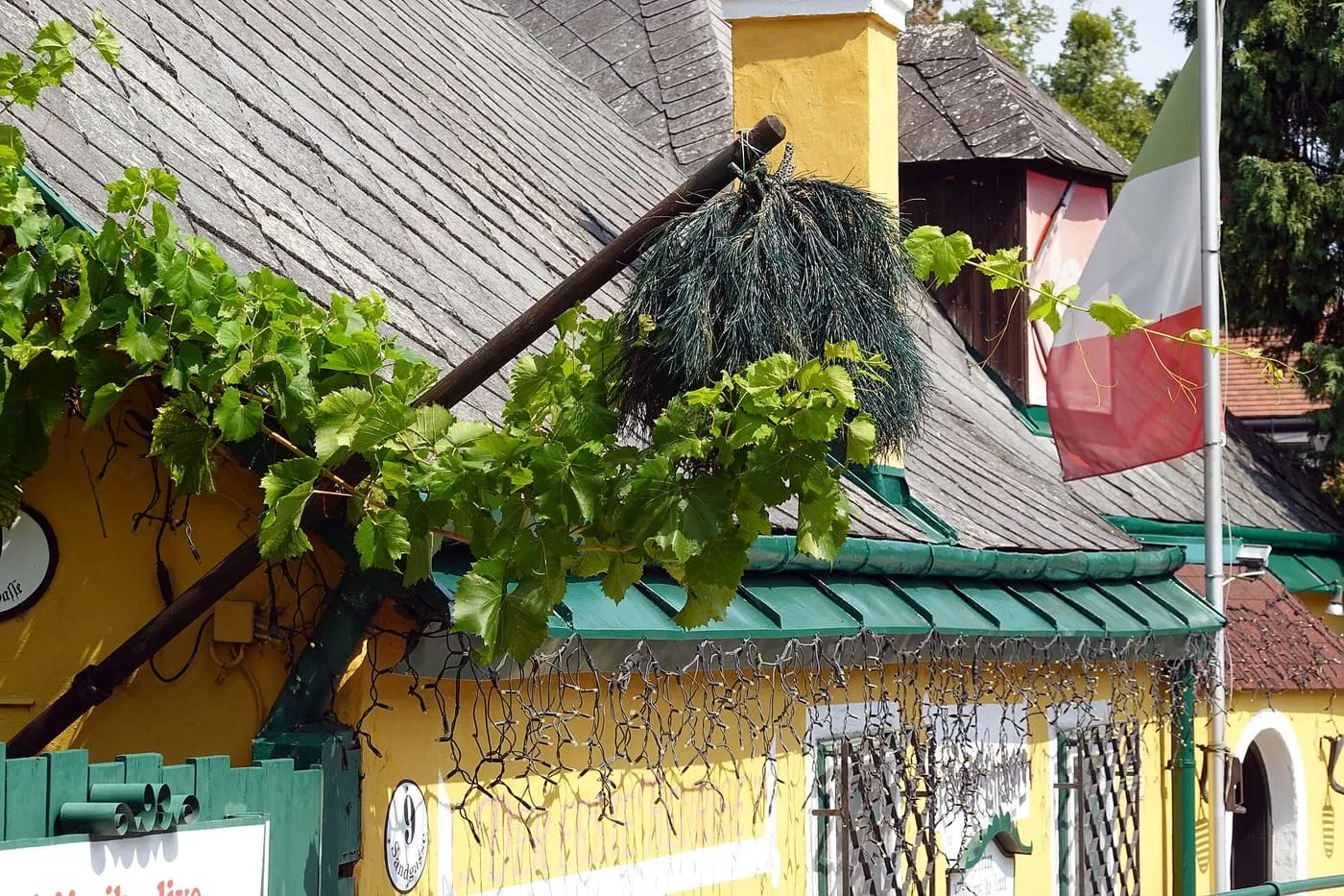 A Föhrenbuschen, a bunch of pine twigs, hanging from a pole under the slate roof of a yellow Grinzing Heuriger beneath a vine
