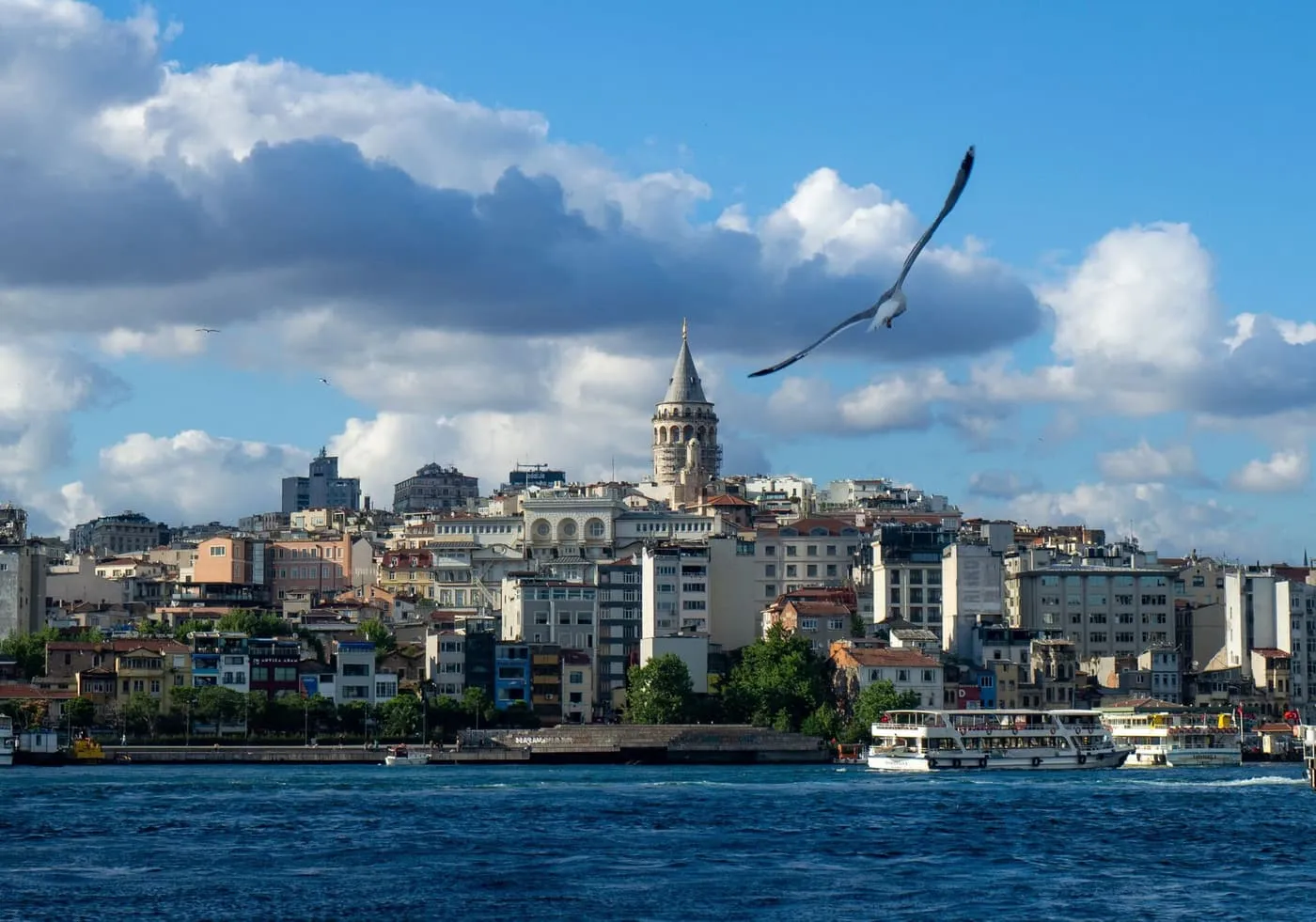 The Galata Tower above the buildings of Karaköy on the far shore of the Golden Horn, with a gull in flight and a ferry at the waterfront
