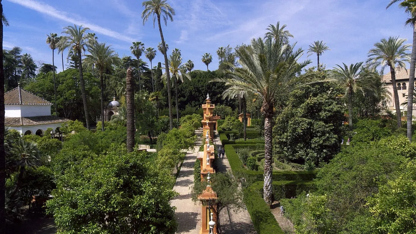 Palm trees and clipped hedges beside a gravel path in the Alcázar gardens, seen from above