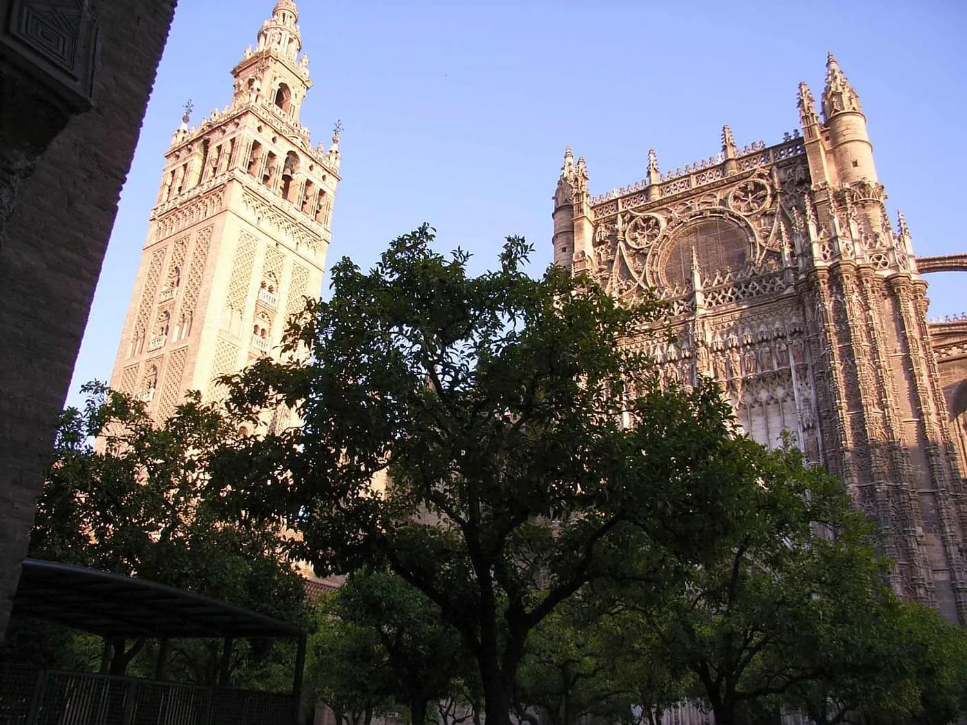 The Giralda and the carved stone front of the Cathedral seen through orange trees
