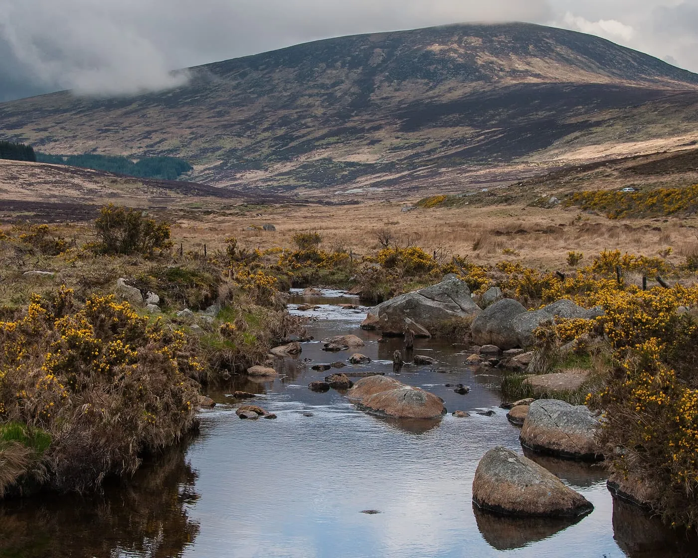 A shallow stream among boulders and gorse in the Wicklow Mountains, with the slope of Tonelagee under low cloud