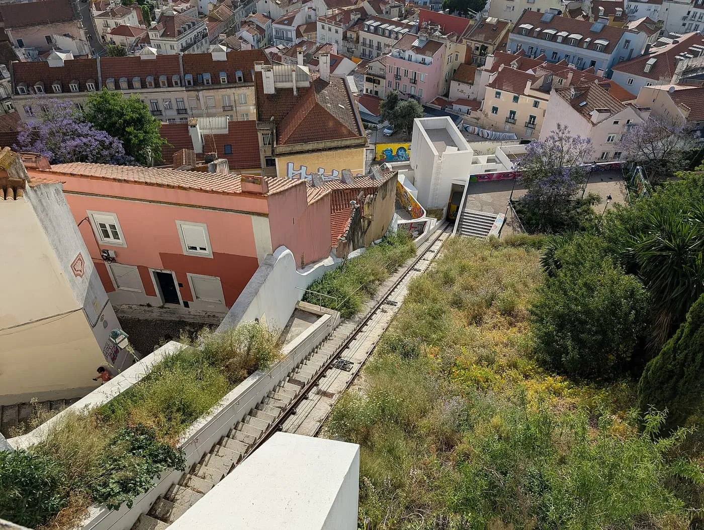 The Graça funicular track running down a steep slope between houses, with the car at the bottom and jacaranda in flower
