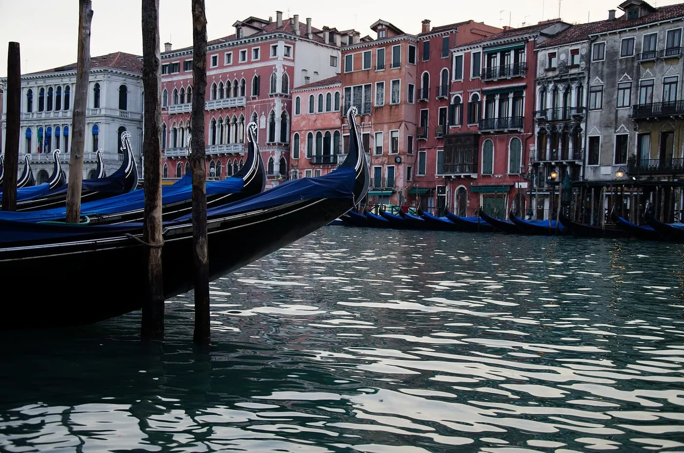 Gondola prows with blue covers moored on poles along the Grand Canal in front of pink and white palaces