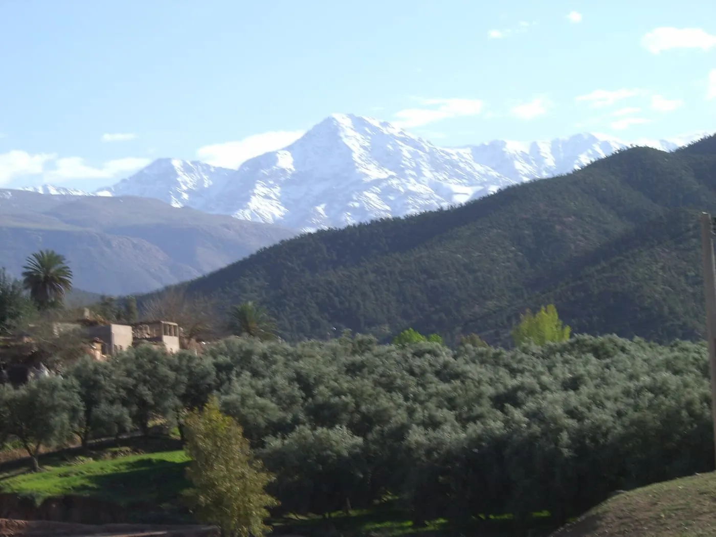 Snow-covered High Atlas peaks above olive groves and a village