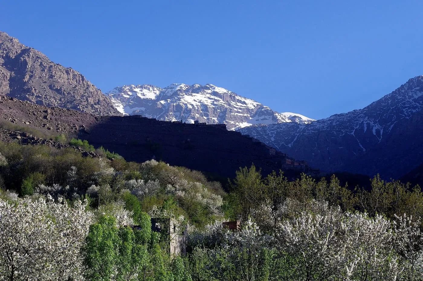 Blossoming orchards in the Imlil valley, with snow on the peaks above a dark hillside