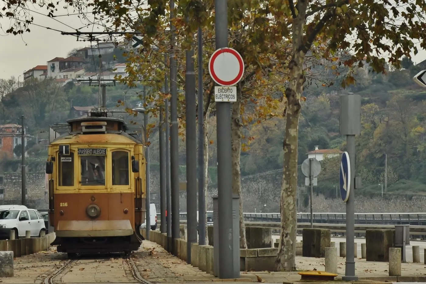 A yellow and brown historic tram marked 1 Passeio Alegre beside a row of plane trees, with a wooded hillside across the river behind