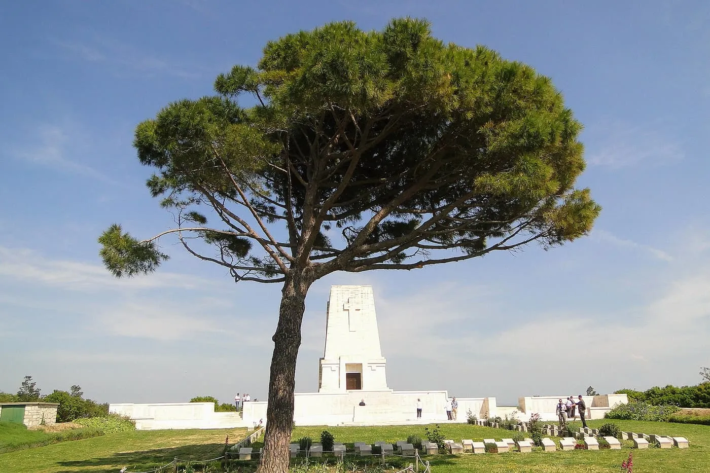 The white Lone Pine Memorial behind a large pine tree, with rows of headstones on the grass in front