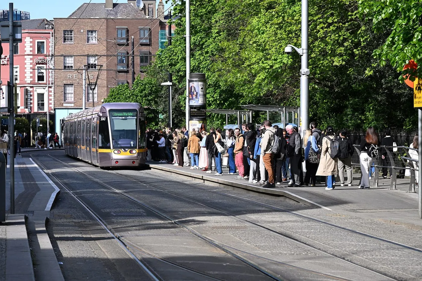A Luas tram approaching a stop with a long queue of passengers on the platform beside tree-lined tracks
