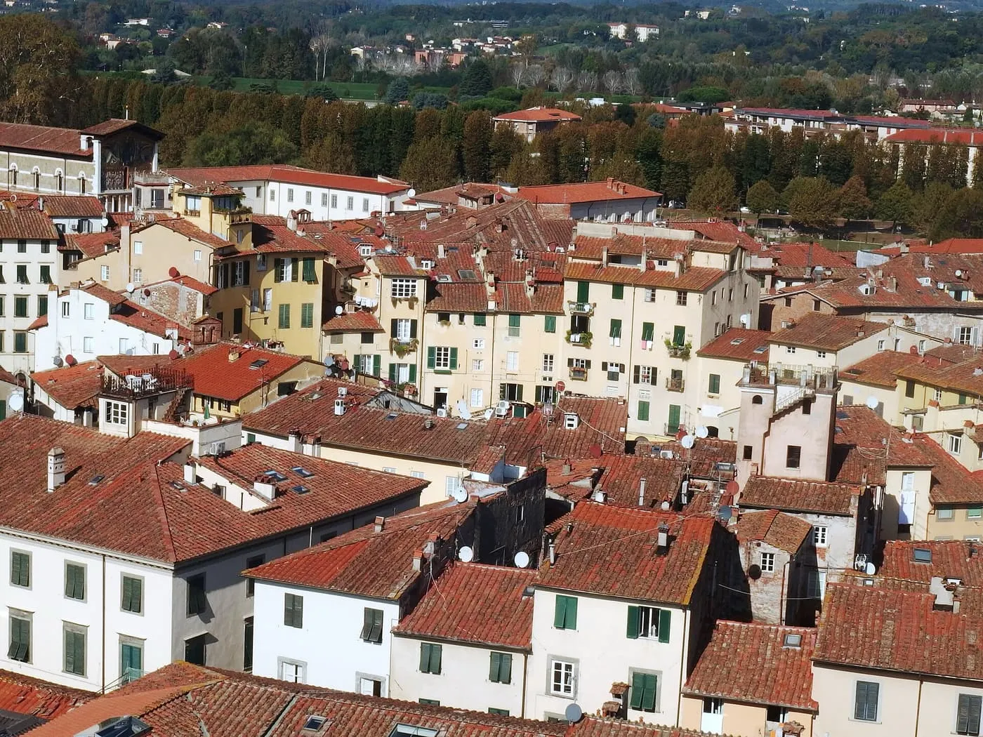 Terracotta roofs of Lucca's old town seen from above