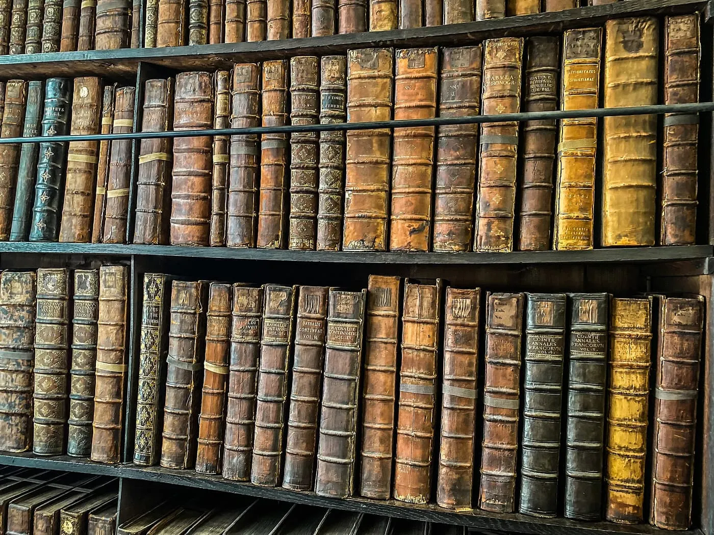 Rows of old leather-bound books on dark wooden shelves in Marsh's Library