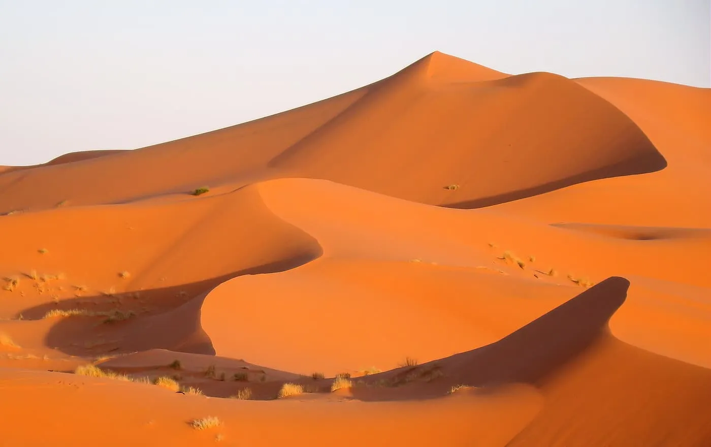 Smooth orange dunes with sharp shadowed crests under a pale sky