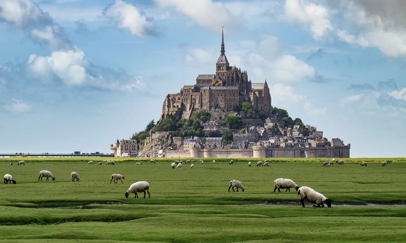 Mont-Saint-Michel's abbey and walled village rising above salt meadows with grazing sheep