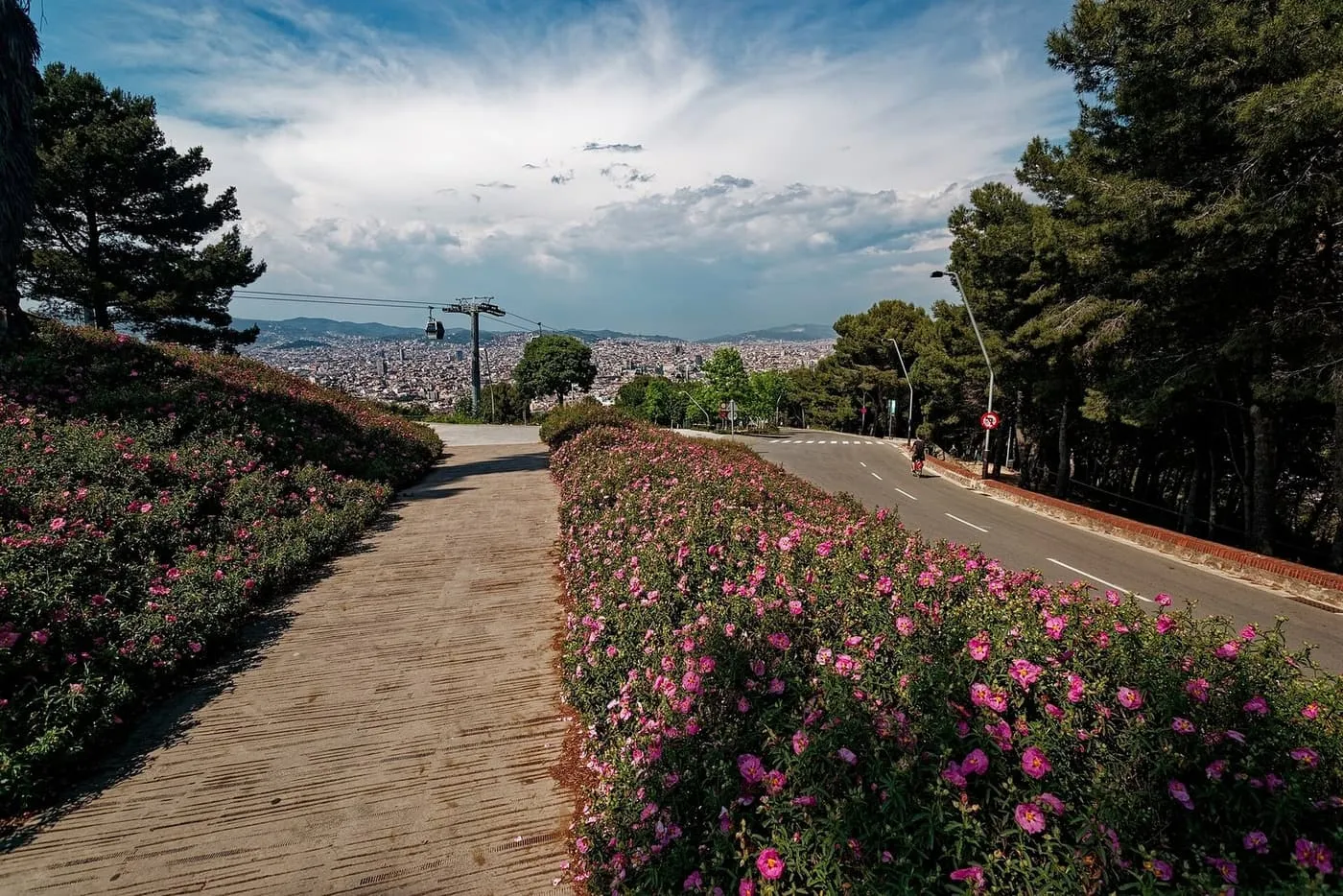 A path between flowering shrubs on Montjuïc looking north over the city, with a cable-car cabin on its wire