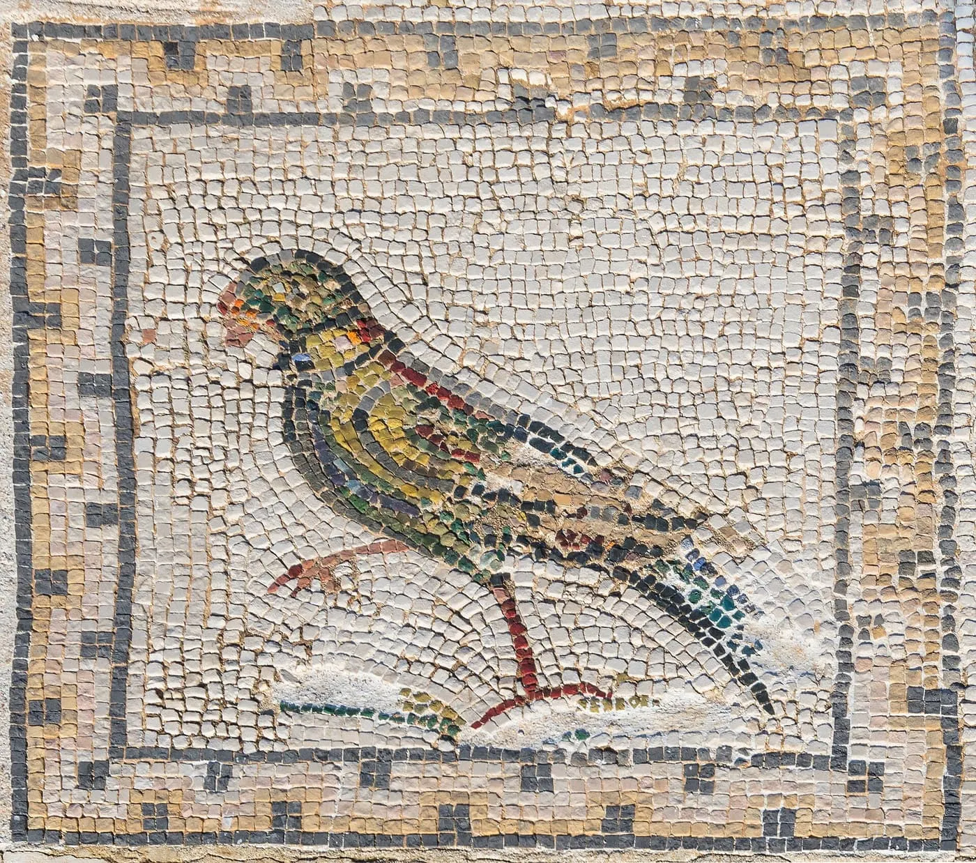 A green, yellow and red bird picked out in small stone tesserae inside a square border, from a mosaic floor at Itálica