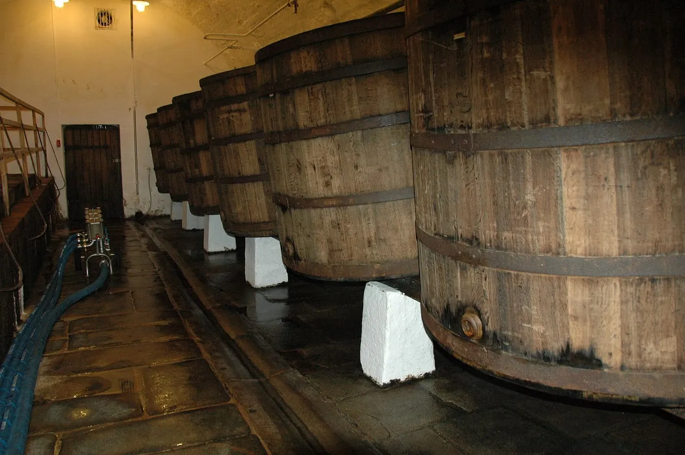 A row of large oak vats banded with iron, on white-painted plinths in a vaulted cellar with a wet stone floor and blue hoses