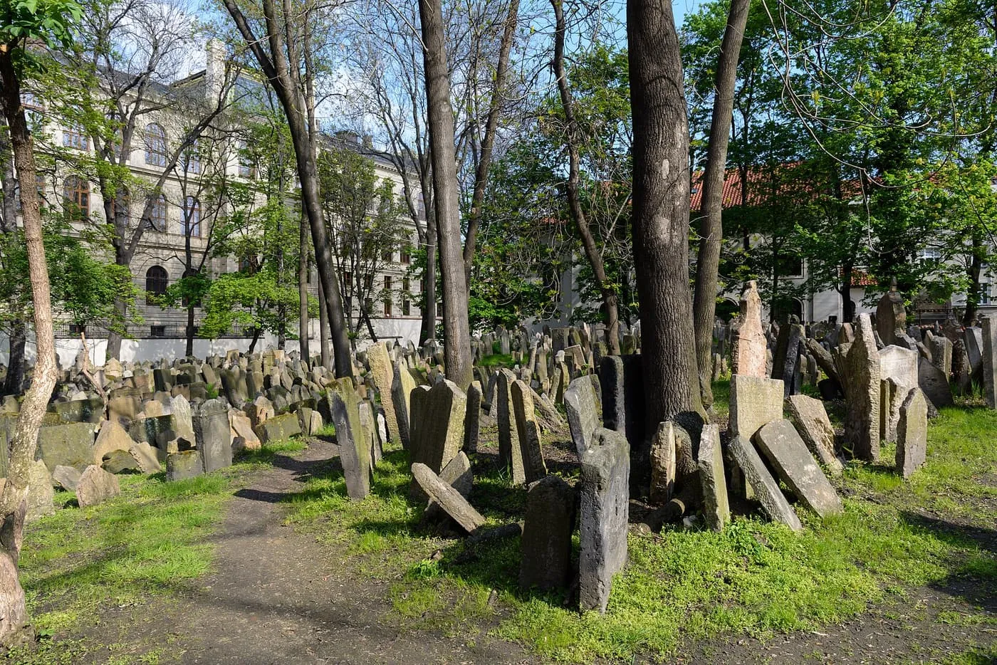 Crowded, leaning tombstones among trees in the Old Jewish Cemetery in Prague