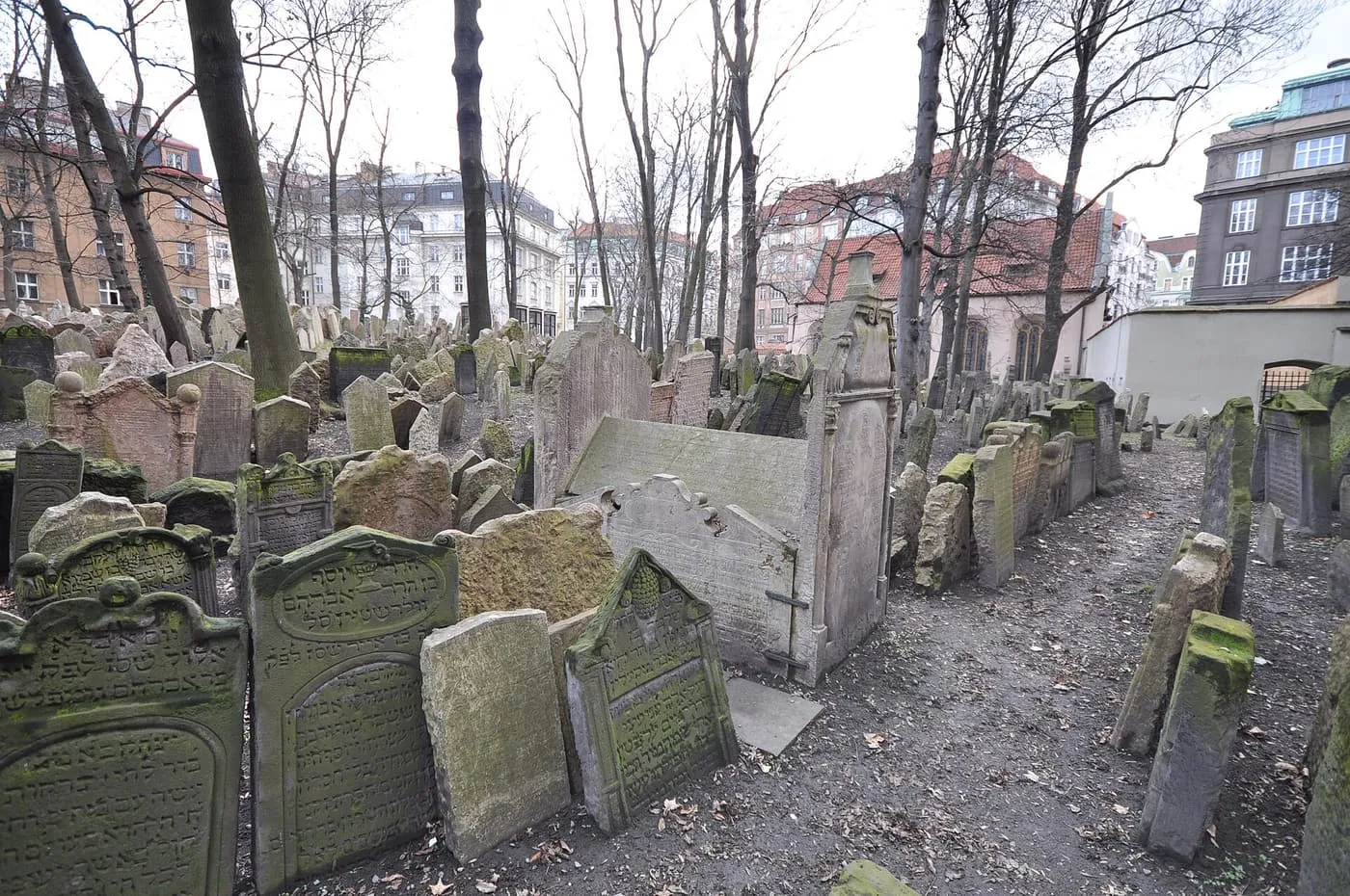 Rows of tilted stone grave markers packed between bare trees in the Old Jewish Cemetery, with the roofs of Josefov behind