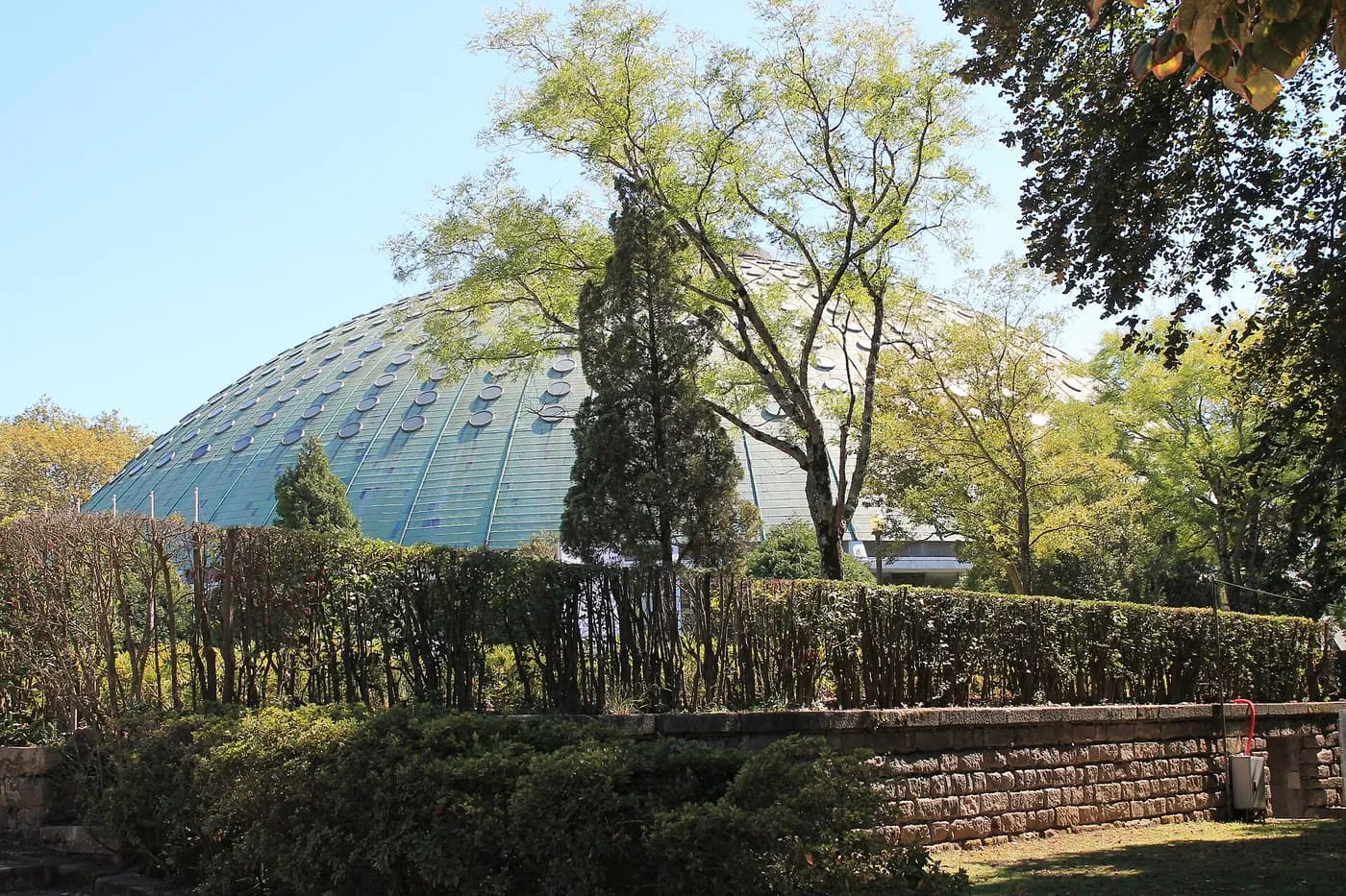 The green dome of the Pavilhão Rosa Mota above the hedges and trees of the Palácio de Cristal gardens