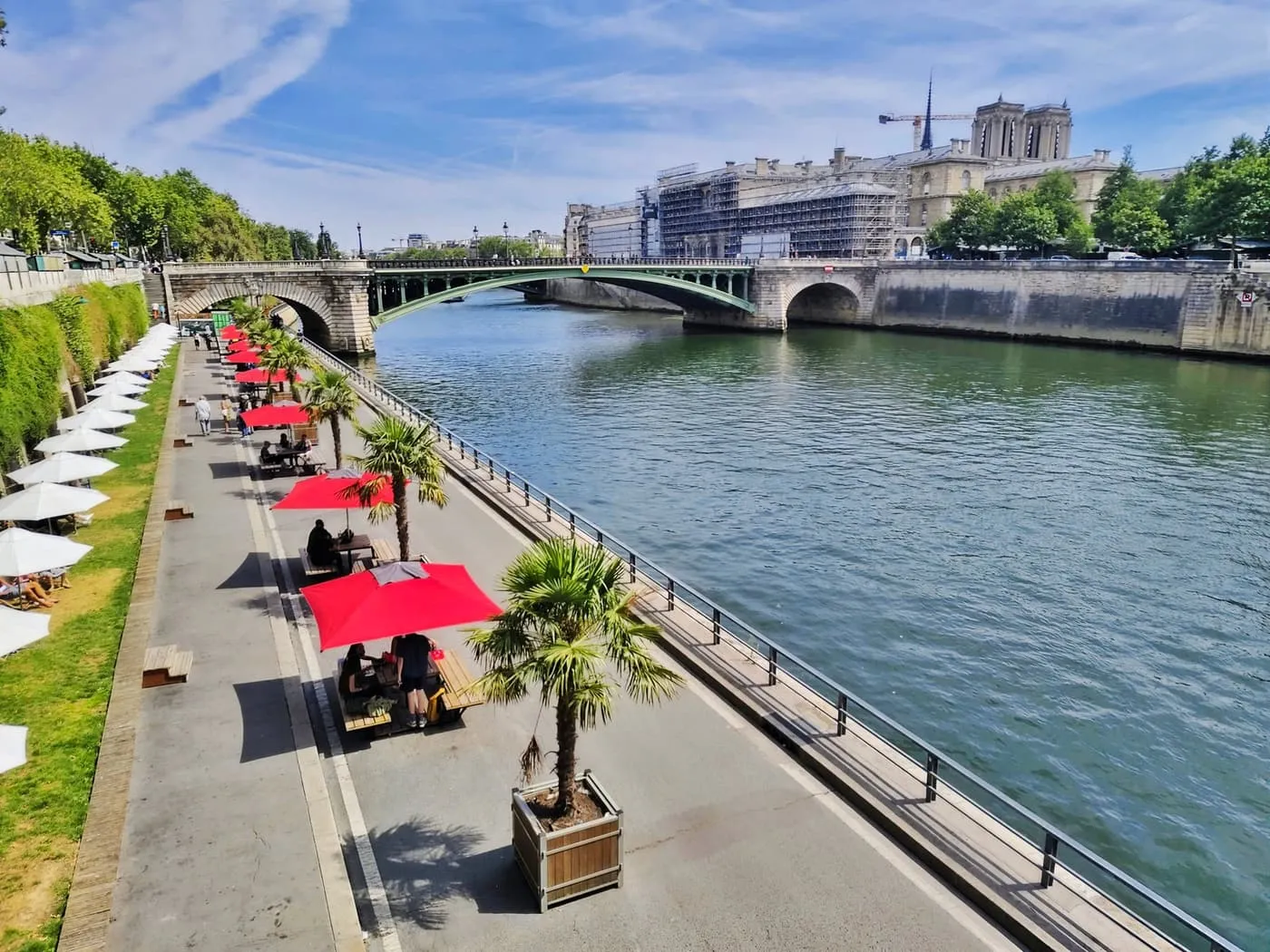 Red and white parasols, palm trees in planters and picnic tables along the Seine quay, with a bridge and the towers of Notre-Dame in the distance