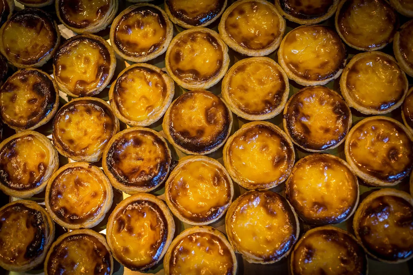 Rows of freshly baked pastéis de nata seen from above, with glossy yellow custard and dark scorched tops
