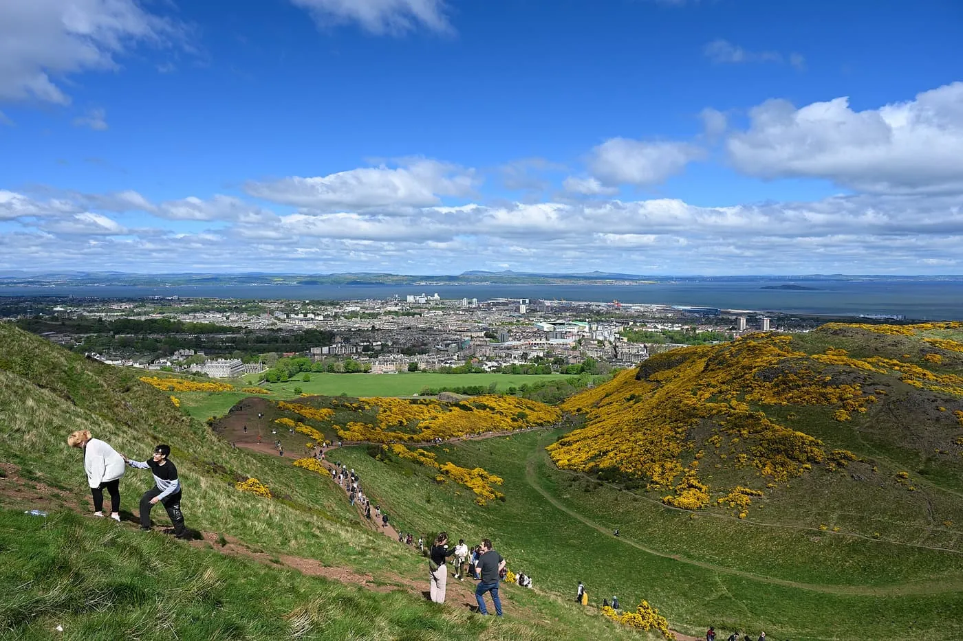 Walkers on the eroded path up the grassy slope of Arthur's Seat, with gorse in bloom, Holyrood Park and the Firth of Forth below