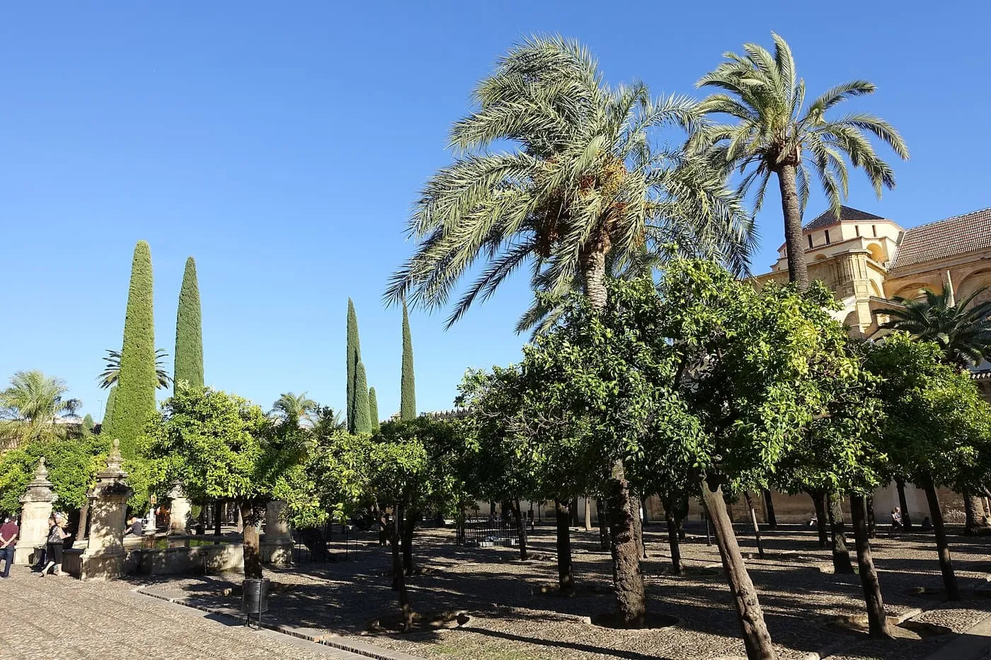 Orange trees, palms and cypresses in the Patio de los Naranjos, with the Mezquita-Catedral's roofs at the right edge