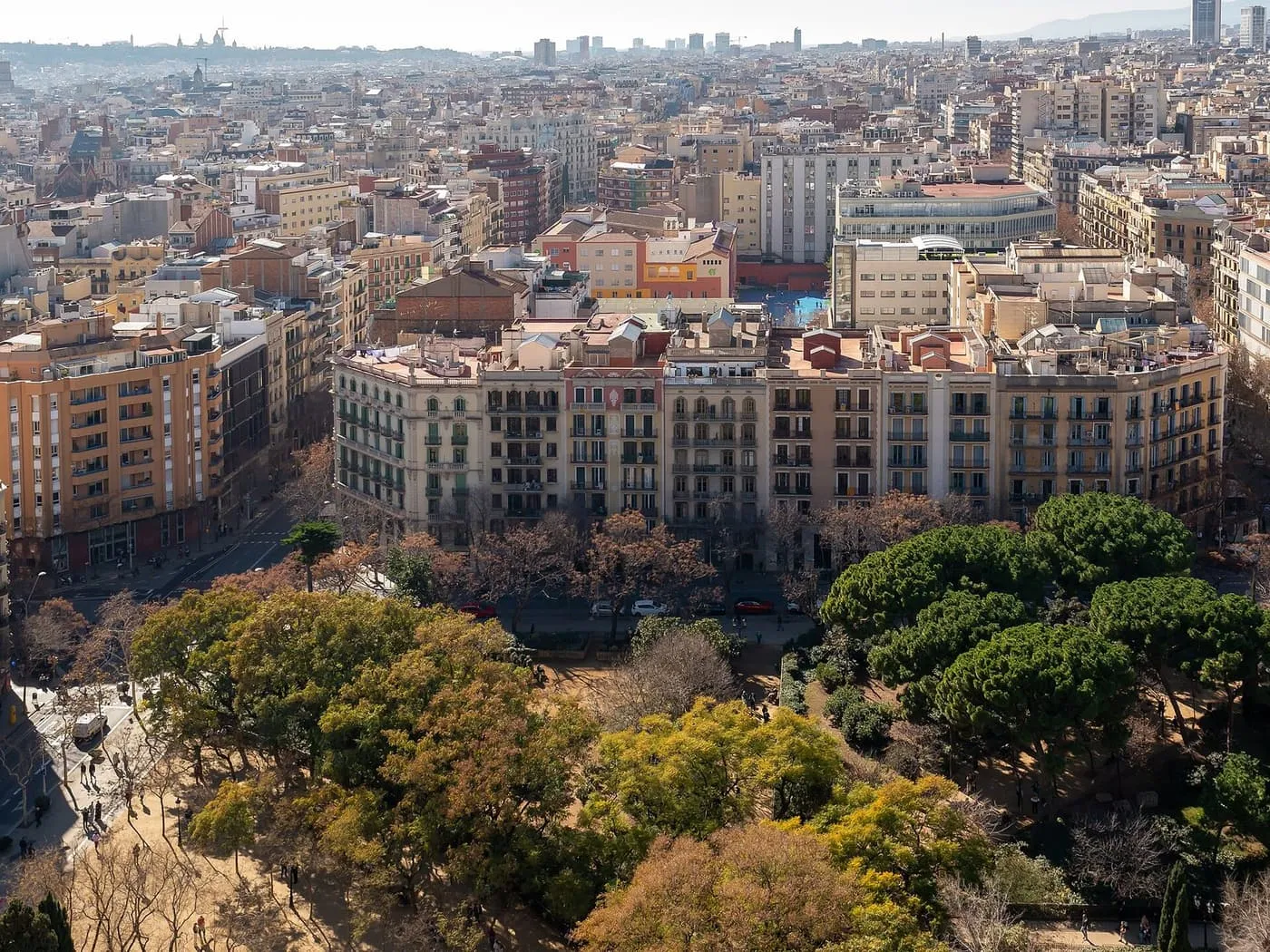 Plaça de la Sagrada Família seen from above: a park of pines and plane trees in front of a curving row of apartment blocks, with the Eixample grid stretching away