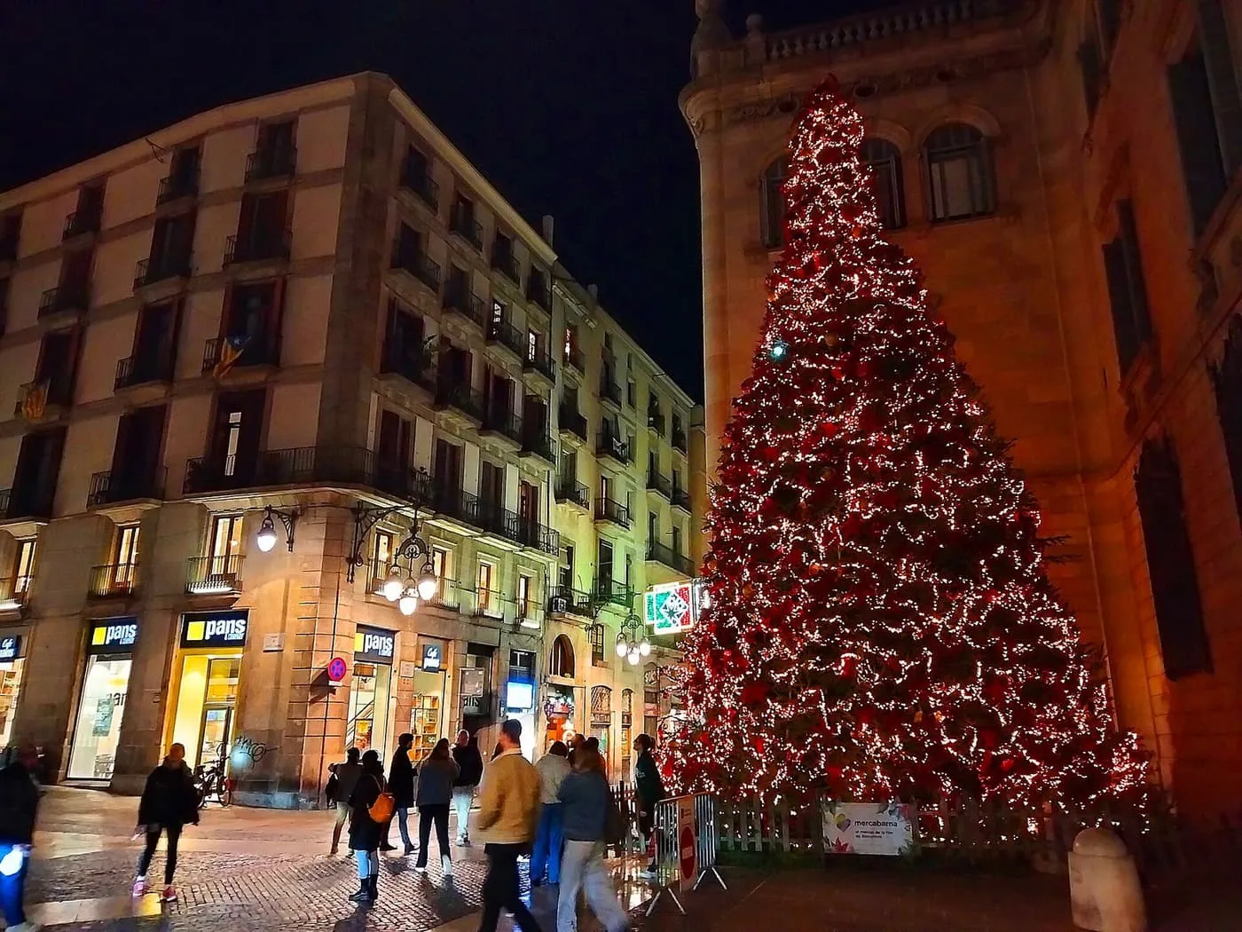 A tall Christmas tree covered in small lights beside a stone building on Plaça de Sant Jaume at night