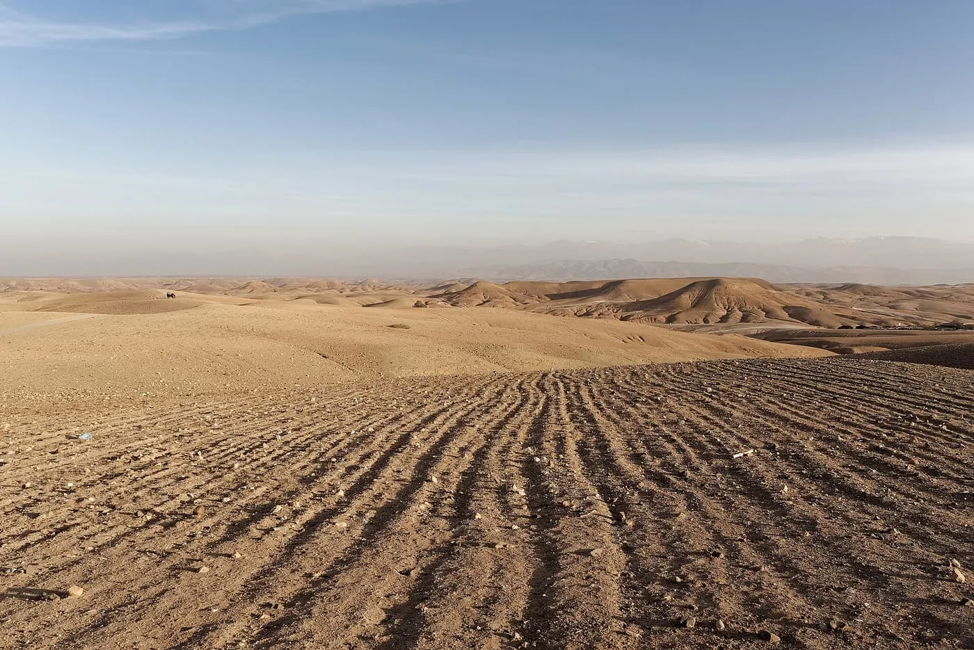 The ridged, stony ground of the Agafay plateau, with low bare hills and the High Atlas faint on the horizon