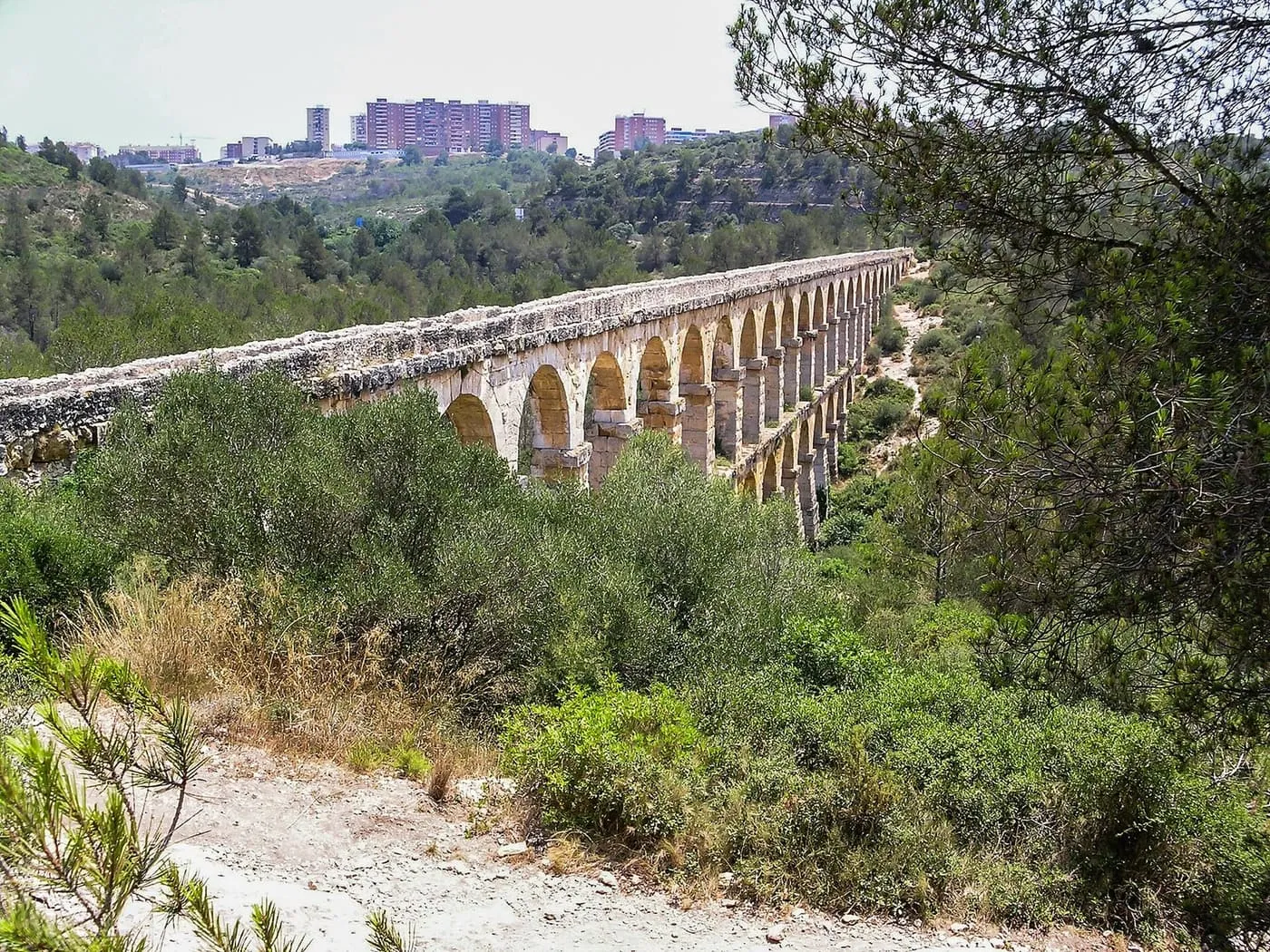 The two-tiered stone arches of the Pont del Diable aqueduct crossing a wooded valley