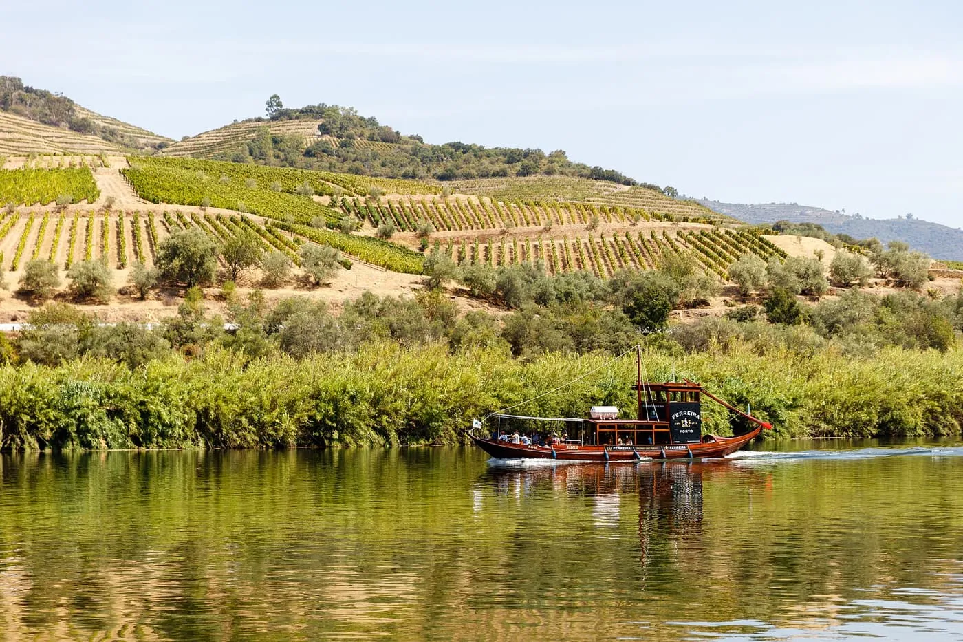 A rabelo-style wooden boat with passengers on the green Douro, with terraced vineyards on the hill behind