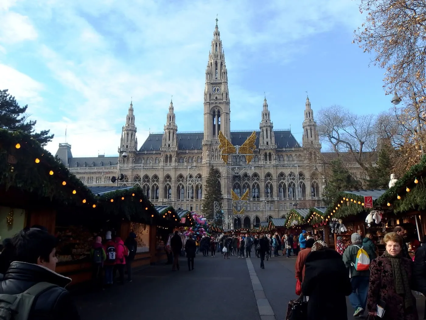 Christmas market stalls hung with fir and lights on Rathausplatz, with the Gothic towers of Vienna's City Hall behind