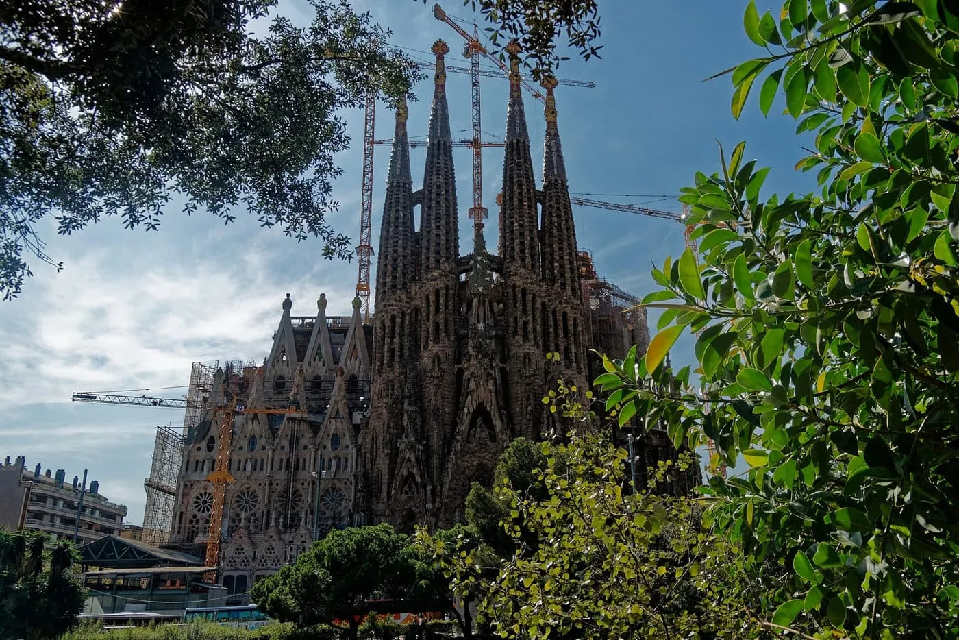 The four spires of the Sagrada Família's Nativity façade seen through trees from Plaça de Gaudí, with construction cranes behind