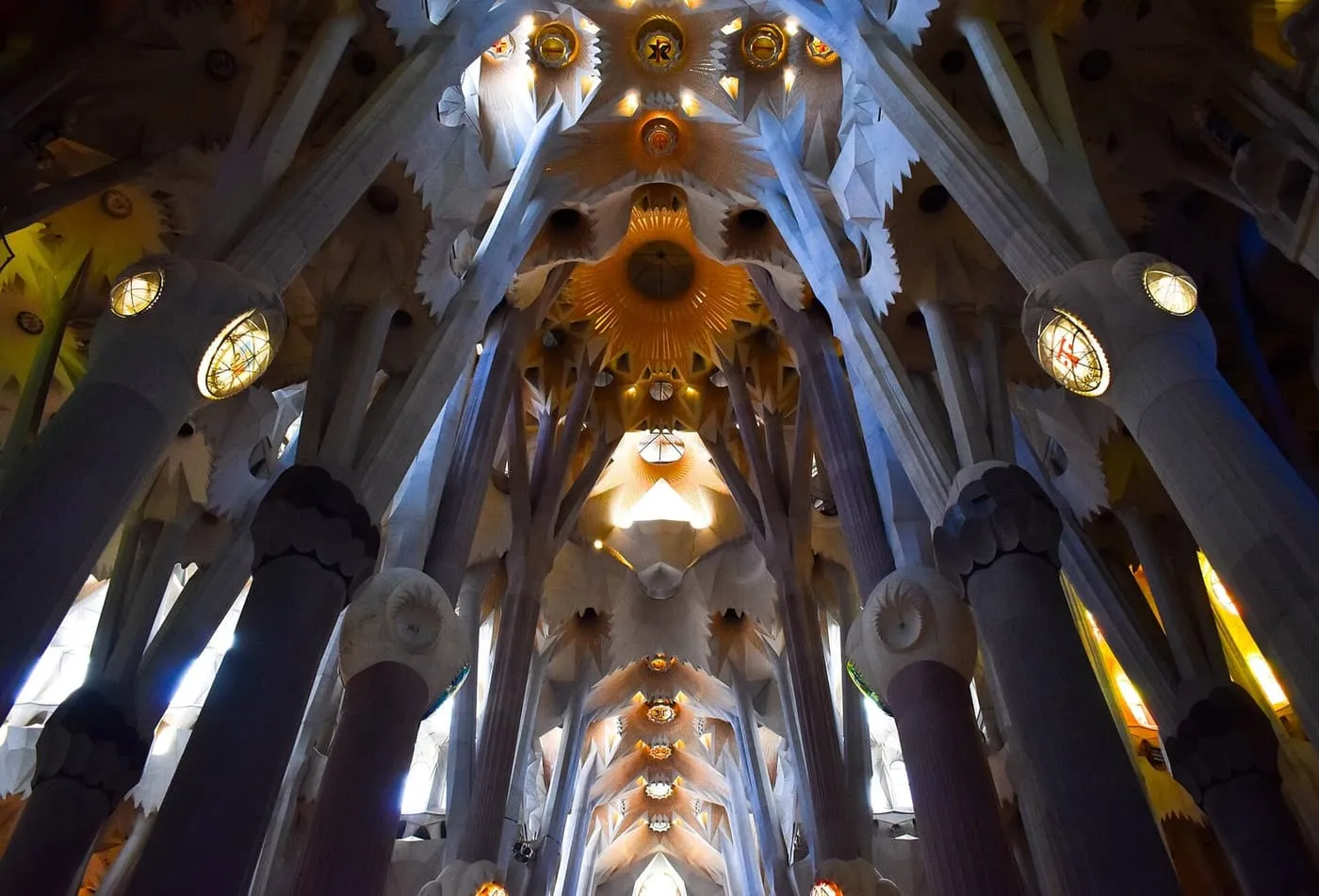 Branching white columns rising to a star-shaped vaulted ceiling inside the Sagrada Família, lit gold and blue by the windows