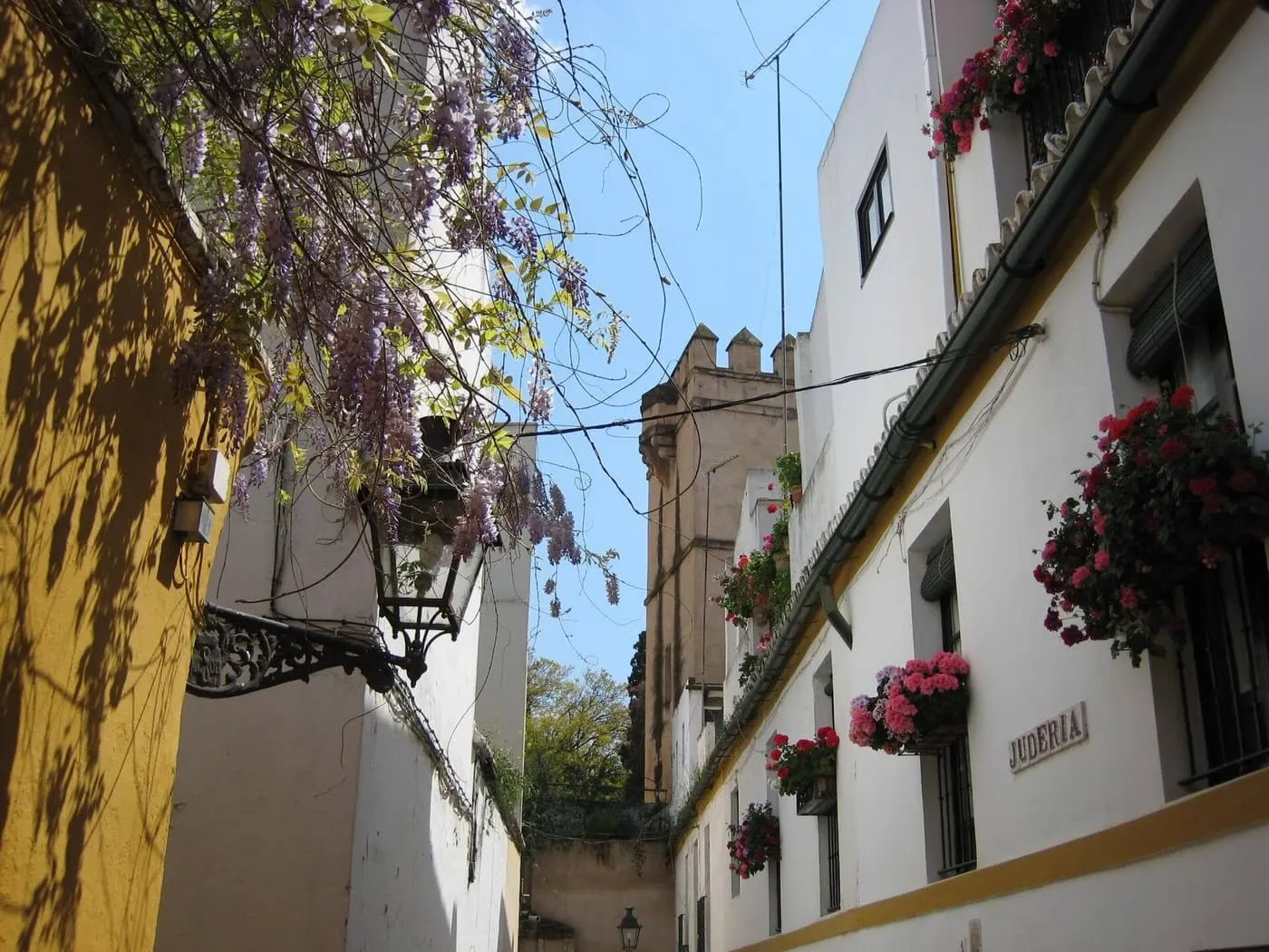 A narrow whitewashed lane in Santa Cruz with geraniums on the window grilles, wisteria overhead and a crenellated tower at the end